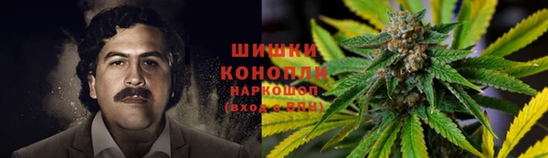 стафф Баксан